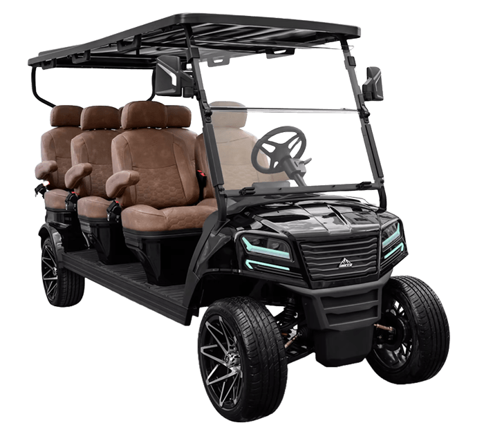 6 Passenger Golf Cart